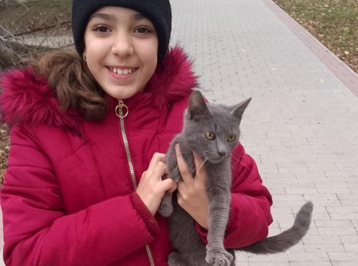 Четвероклассница из Приднестровья помогает кормить и стерилизовать бездомных животных